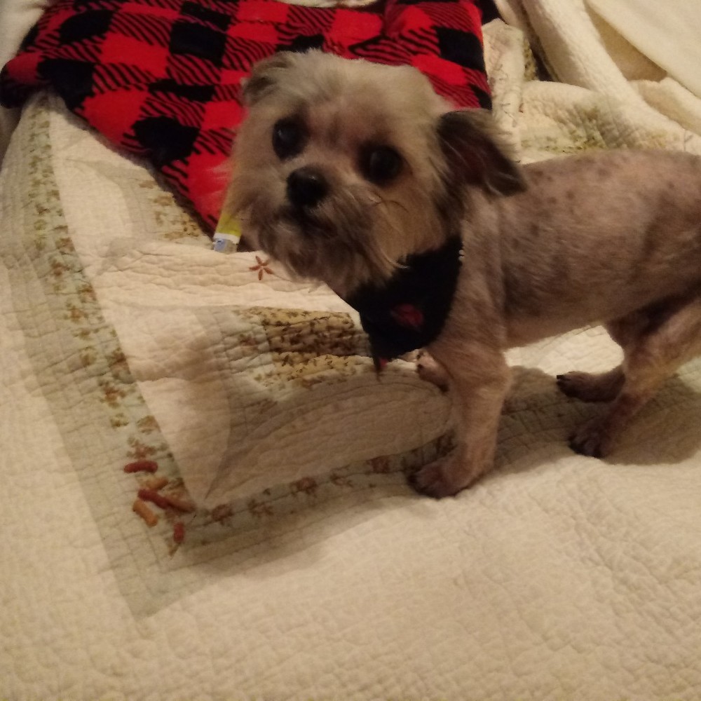 Meet your Posher, Krystal